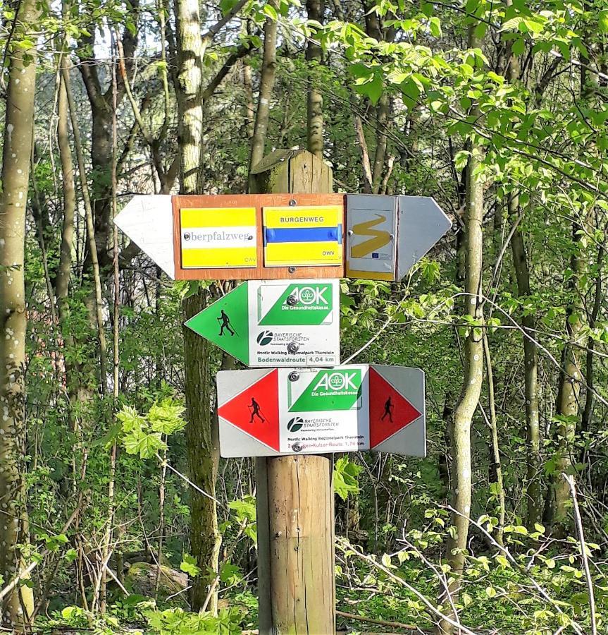 Ferienwohnung Traexler Thanstein Bagian luar foto